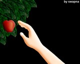 by Swapna M K