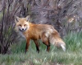 by Lori Waits