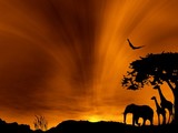by Michael Goddard