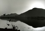 by Raju Patil