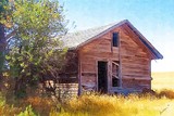 by susan  kinney