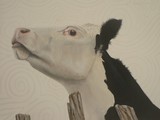 by Ginny Jones