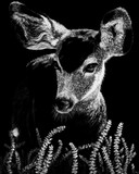 by Heather Ward