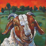 by Marna Schindler