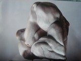 by Luciano Corbellini