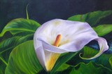 by Doris Joa