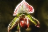 by Artless Graphics
