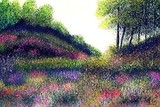 by Heidi Fischer