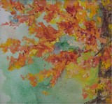 by Lisa Bell
