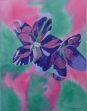 by Sally  Pulford