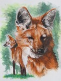 by Barbara Keith