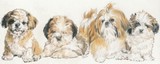 by Barbara Keith