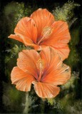 by Barbara Keith