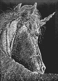 by Linda Alexander-Radak