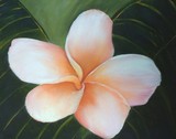 by dawnae zobrist