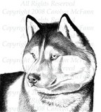 by Carolyn McFann
