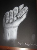 by Meg N