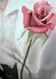 by Madonna Paradis