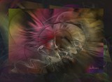 by ANTARES 
