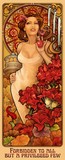 by Echo Chernik