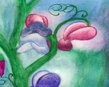 by janae gleason