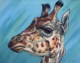 by Erlinde Ufkes Stephanus