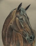by Sue Clinker