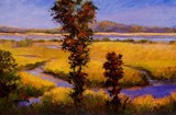 by Jan Blencowe