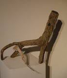 by fredie cumberland II