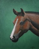 by Christy McGuire