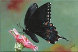 by diane deason