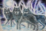 by elizabeth clausen
