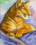 by rosemarie giordano