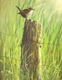 by Kathleen Davis