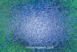 by Peter Hamlett
