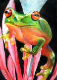 by Carla Whelan
