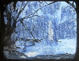 by Dianne Arthur