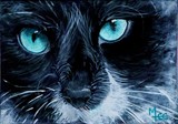 by Mary-Lee Sanders