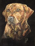 by Sharon Jarvis