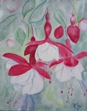 by Patricia Elgee