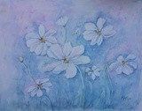 by Patricia Elgee