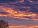 by Debra Kott