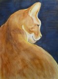 by Jones Judy