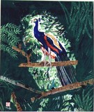 by Madhu Jain