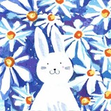 by jane Heyes