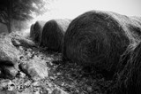 by Richard Danek