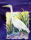 by Diane Wallace