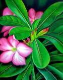 by murali nagapuzha