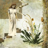 by Van Renselar