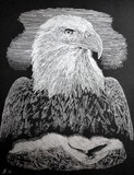 by Amalia Suruceanu